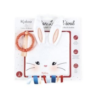 LIBRO DE ACTIVIDADES EL CONEJO ENAMORADO